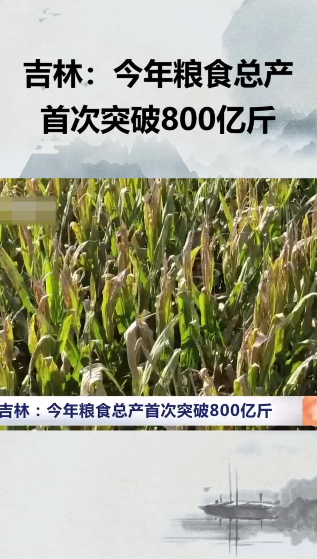 吉林：今年粮食总产首次突破800亿斤
